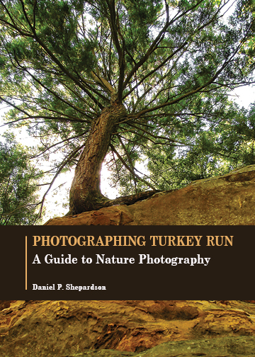 Photographing Turkey Run