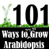 Purdue Methods for Arabidopsis Growth